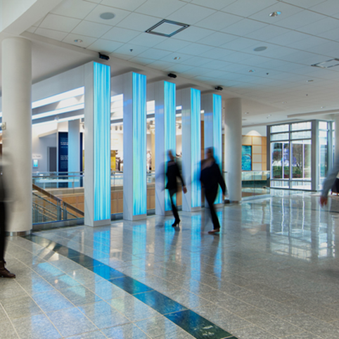 Cox lobby