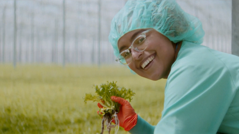 a person wearing a blue hat and hair net holding a plant