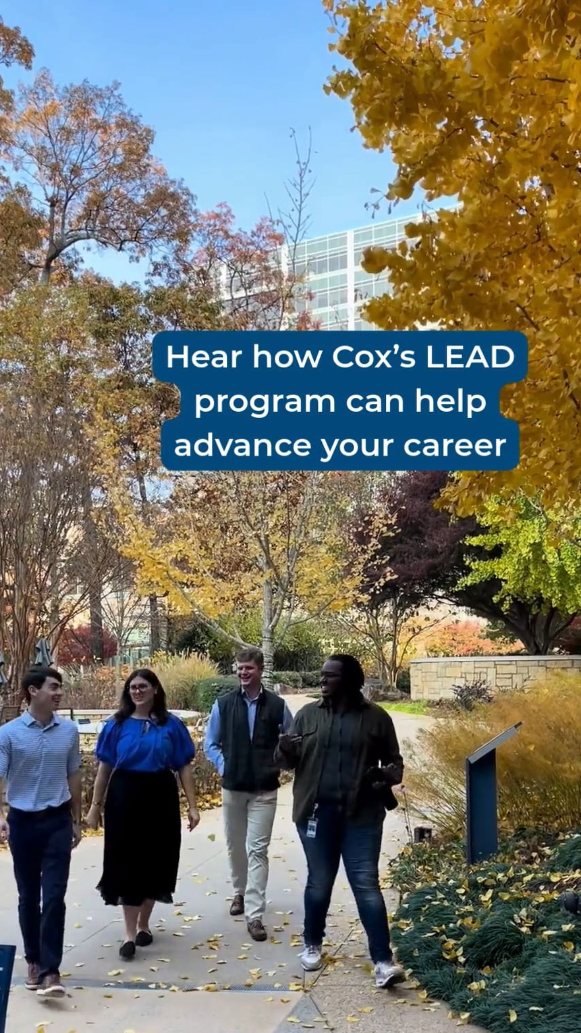 Lead Program