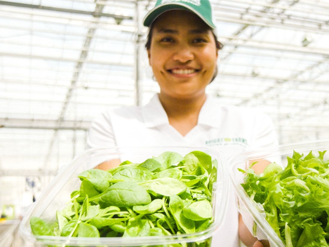 Brightfarms