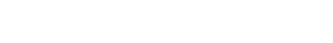 Globe icon