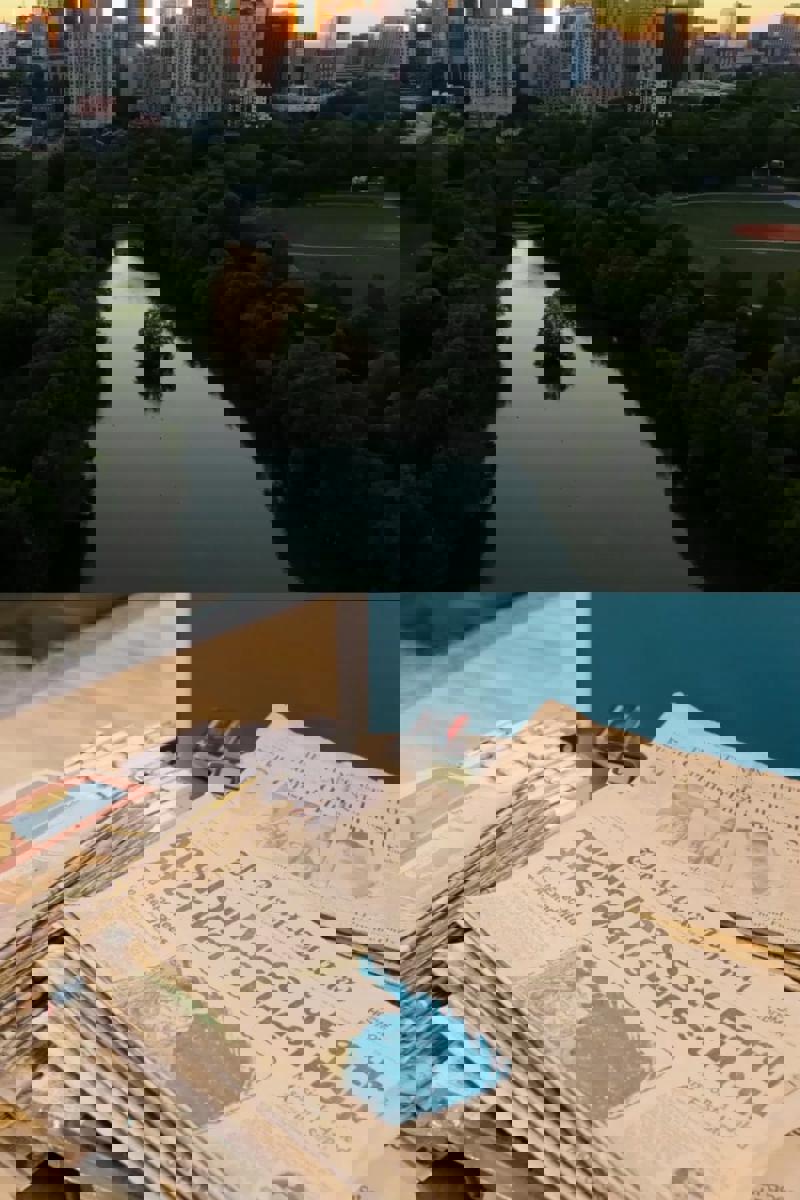 a river with newspapers and a road with trees