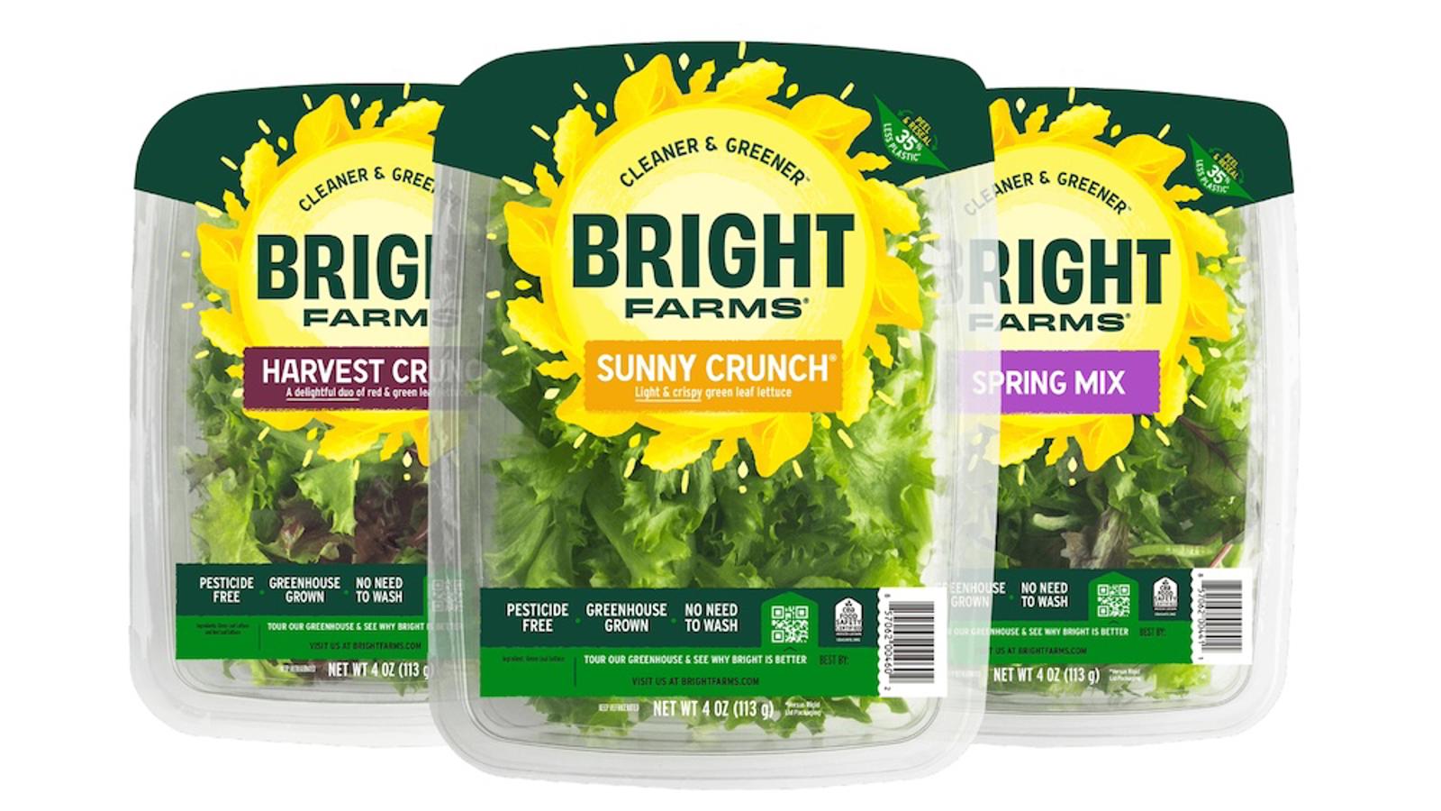 a group of plastic containers with green and yellow labels