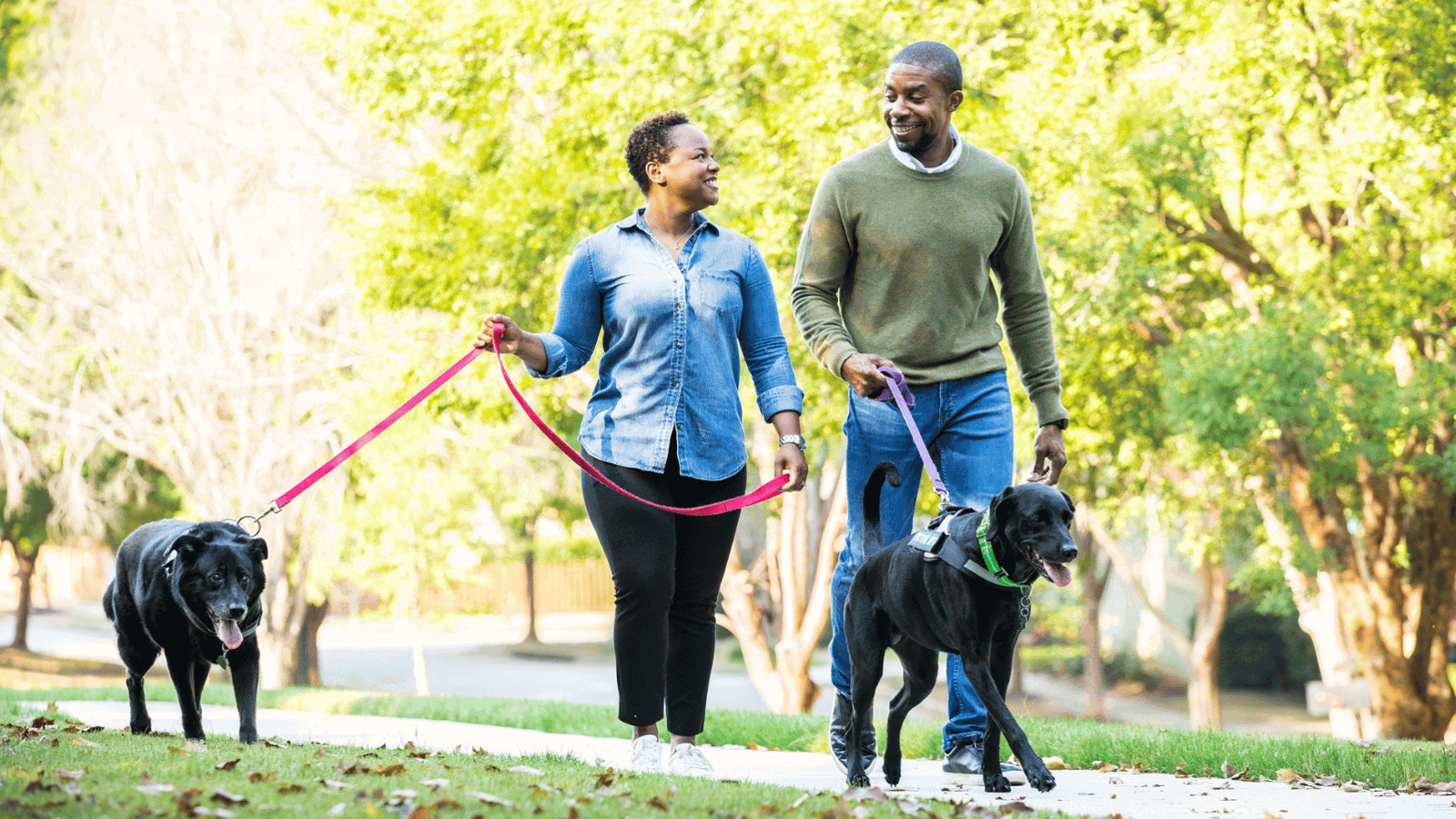 Cox employees walking their dog in the park